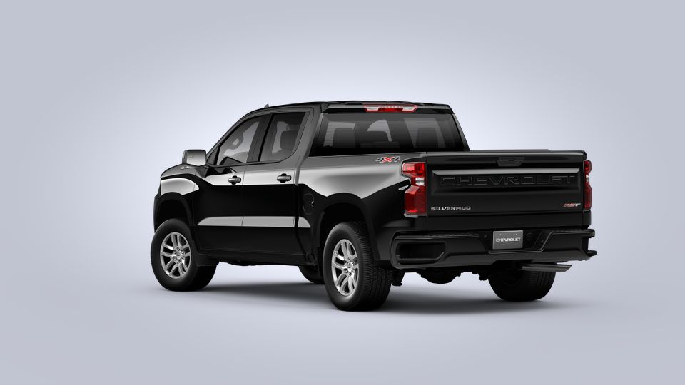 2022 Chevrolet Silverado 1500 LTD Vehicle Photo in BEAUFORT, SC 29906-4218