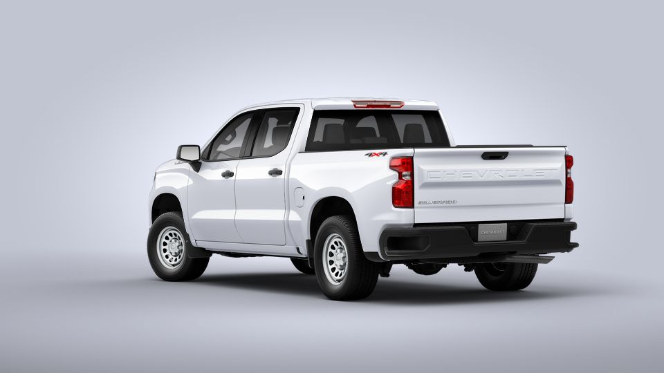 2022 Chevrolet Silverado 1500 Vehicle Photo in COLUMBIA, MO 65203-3903