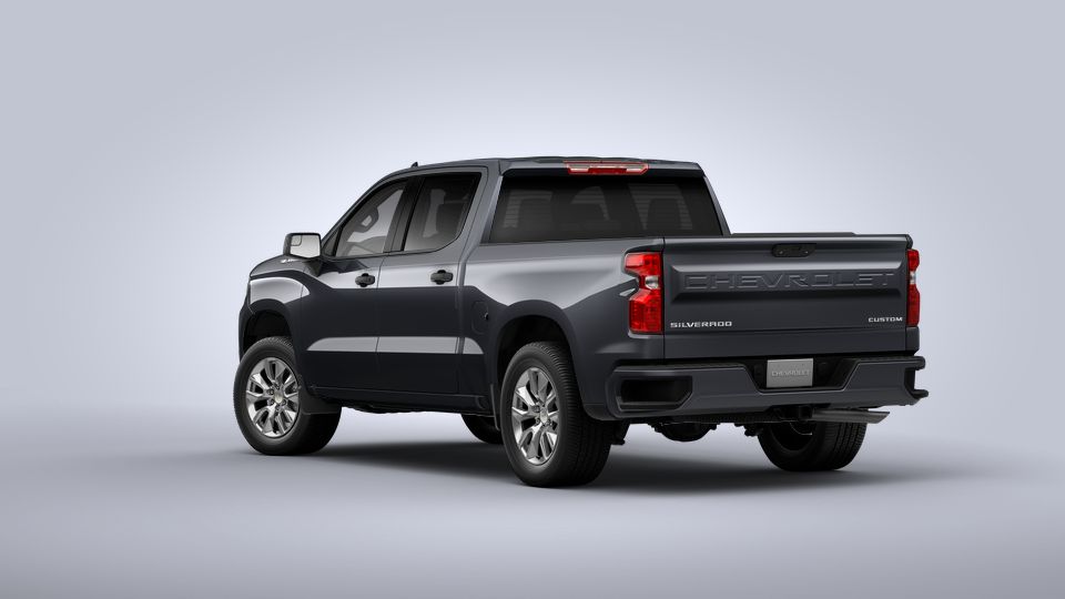 2022 Chevrolet Silverado 1500 Vehicle Photo in Savannah, GA 31419