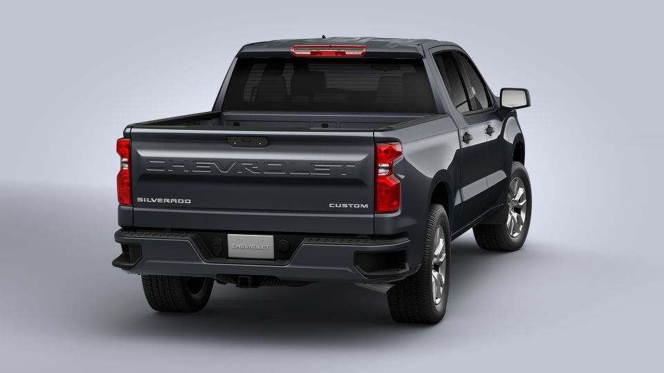 2022 Chevrolet Silverado 1500 Vehicle Photo in Savannah, GA 31419