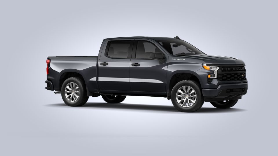 2022 Chevrolet Silverado 1500 Vehicle Photo in Savannah, GA 31419