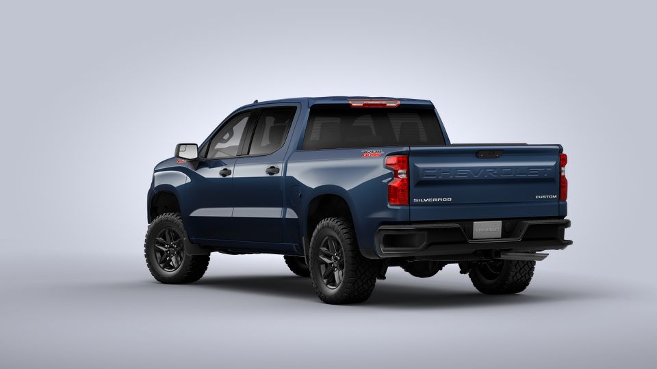 2022 Chevrolet Silverado 1500 Vehicle Photo in LEESBURG, FL 34788-4022