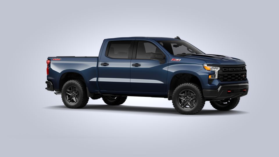 2022 Chevrolet Silverado 1500 Vehicle Photo in LEESBURG, FL 34788-4022