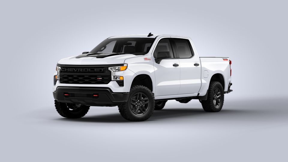 2022 Chevrolet Silverado 1500 Vehicle Photo in Katy, TX 77450