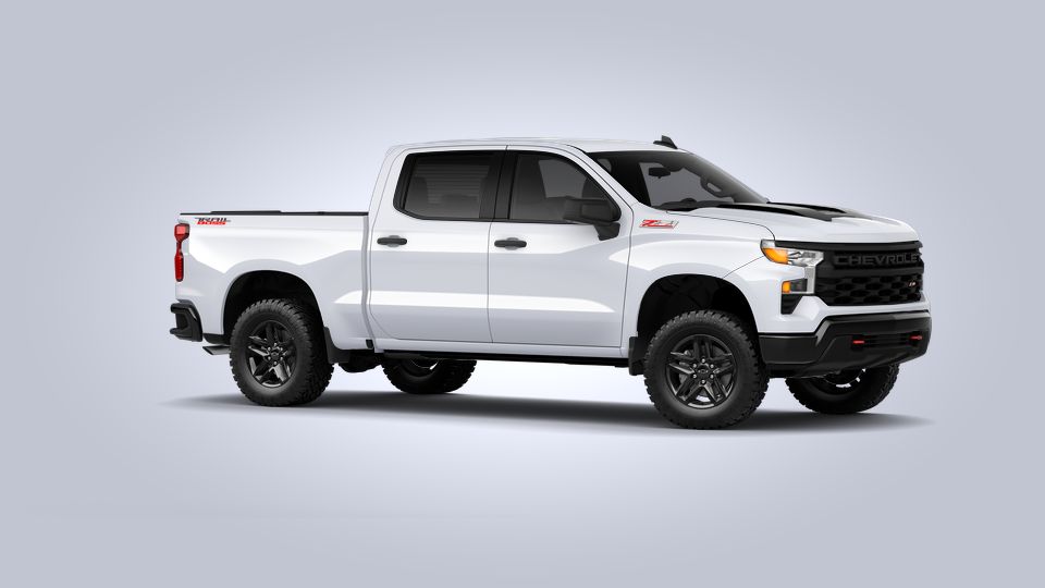 2022 Chevrolet Silverado 1500 Vehicle Photo in Katy, TX 77450