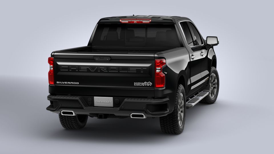 2022 Chevrolet Silverado 1500 Vehicle Photo in POOLER, GA 31322-3252