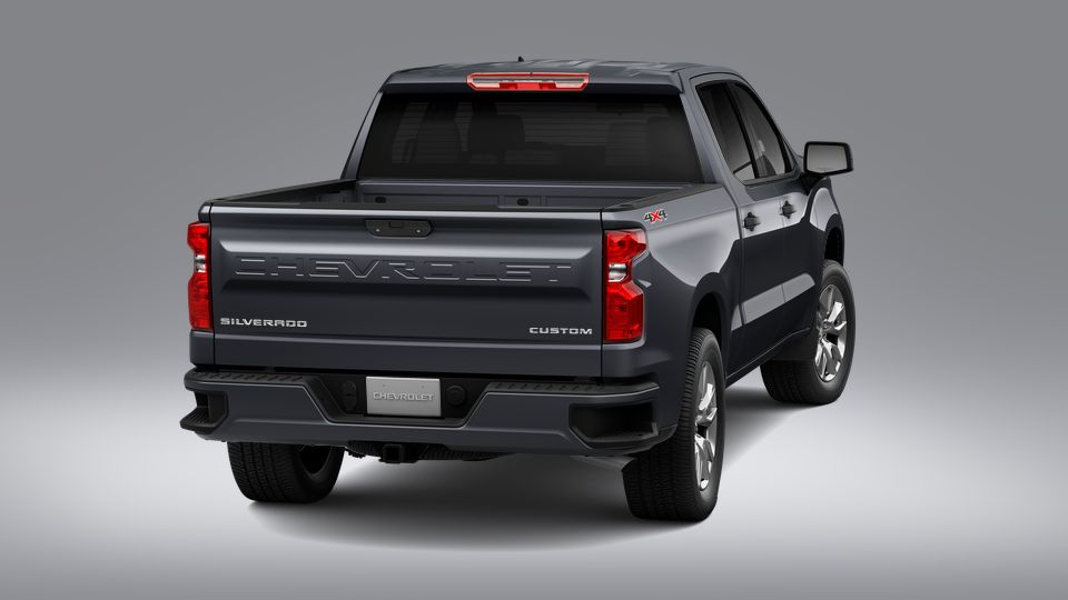 2023 Chevrolet Silverado 1500 Vehicle Photo in Hinesville, GA 31313
