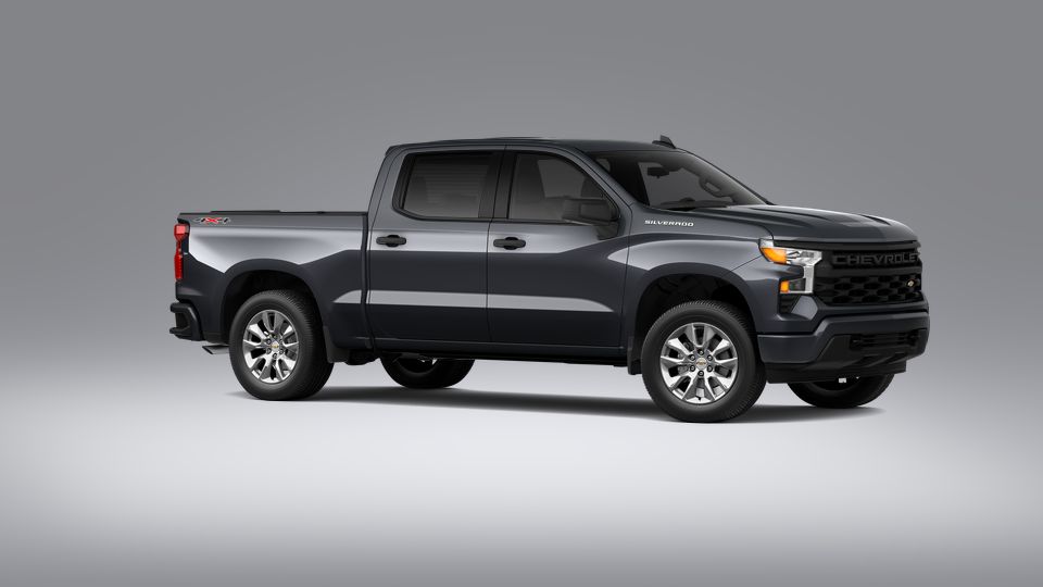 2023 Chevrolet Silverado 1500 Vehicle Photo in Hinesville, GA 31313