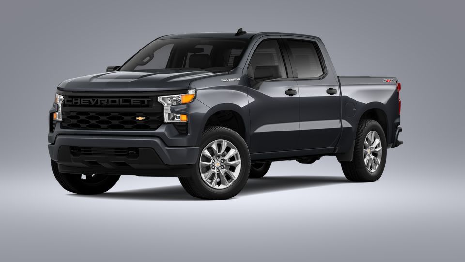2023 Chevrolet Silverado 1500 Vehicle Photo in Hinesville, GA 31313