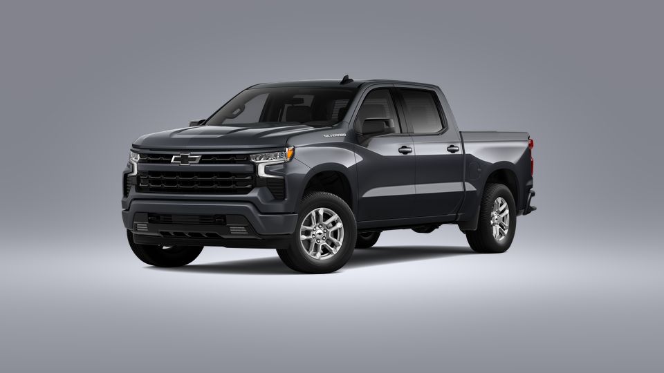 2023 Chevrolet Silverado 1500 Vehicle Photo in SELMA, TX 78154-1460