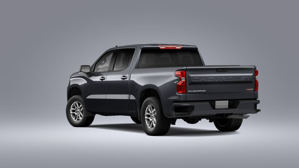 2023 Chevrolet Silverado 1500 Vehicle Photo in SELMA, TX 78154-1460