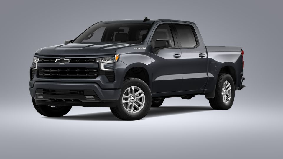 2023 Chevrolet Silverado 1500 Vehicle Photo in SELMA, TX 78154-1460