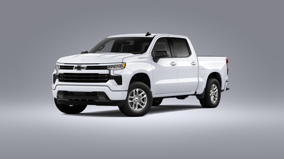 2023 Chevrolet Silverado 1500 Vehicle Photo in SELMA, TX 78154-1460