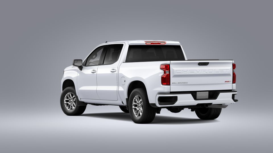 2023 Chevrolet Silverado 1500 Vehicle Photo in SELMA, TX 78154-1460