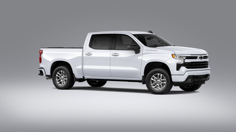 2023 Chevrolet Silverado 1500 Vehicle Photo in SELMA, TX 78154-1460