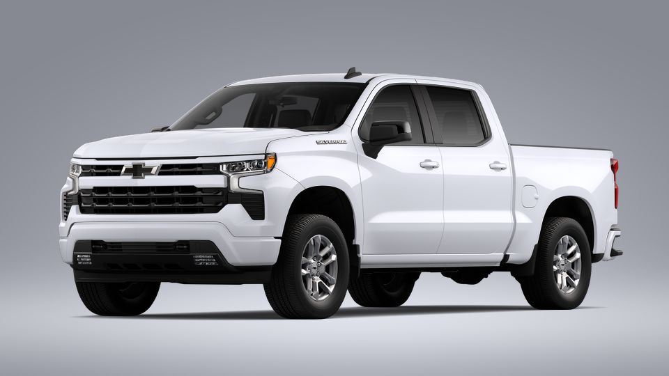 2023 Chevrolet Silverado 1500 Vehicle Photo in SELMA, TX 78154-1460
