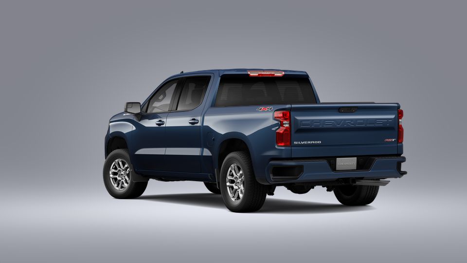 2023 Chevrolet Silverado 1500 Vehicle Photo in BEAUFORT, SC 29906-4218