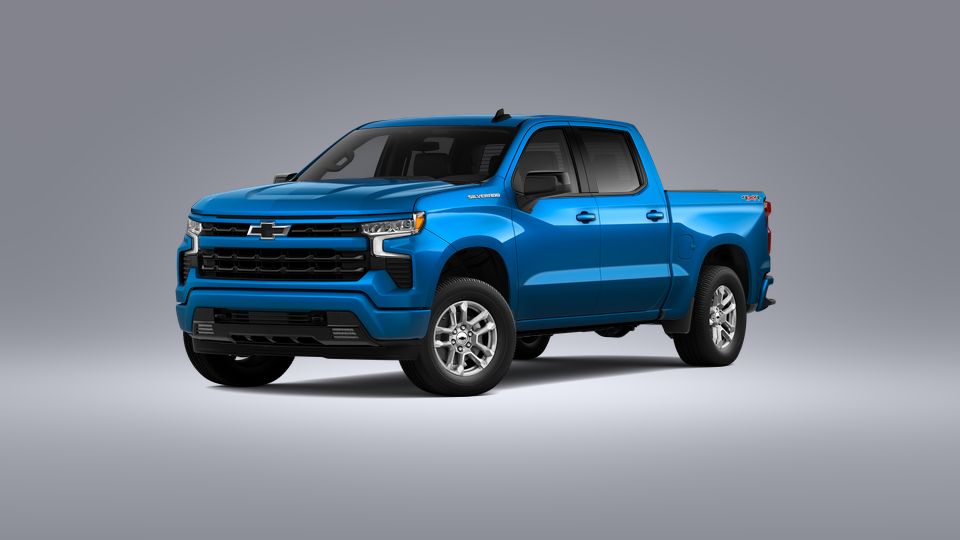 2023 Chevrolet Silverado 1500 Vehicle Photo in SAVANNAH, GA 31406-4513