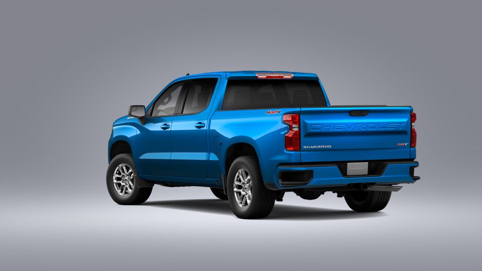 2023 Chevrolet Silverado 1500 Vehicle Photo in SAVANNAH, GA 31406-4513