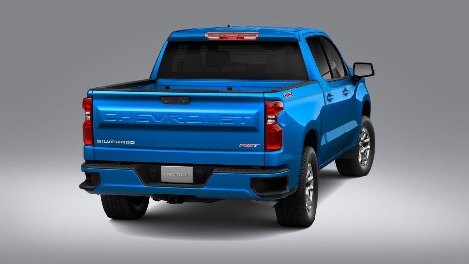 2023 Chevrolet Silverado 1500 Vehicle Photo in SAVANNAH, GA 31406-4513
