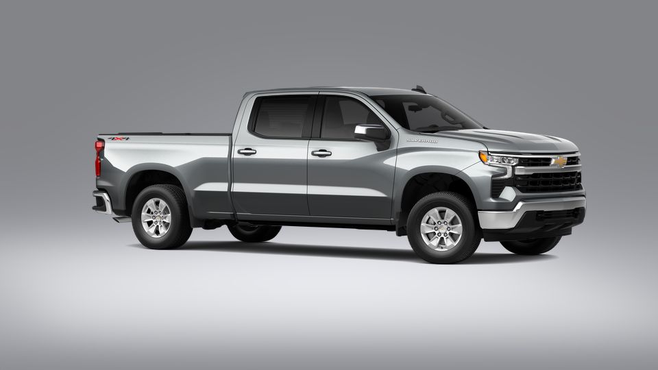 2023 Chevrolet Silverado 1500 Vehicle Photo in SAVANNAH, GA 31406-4513