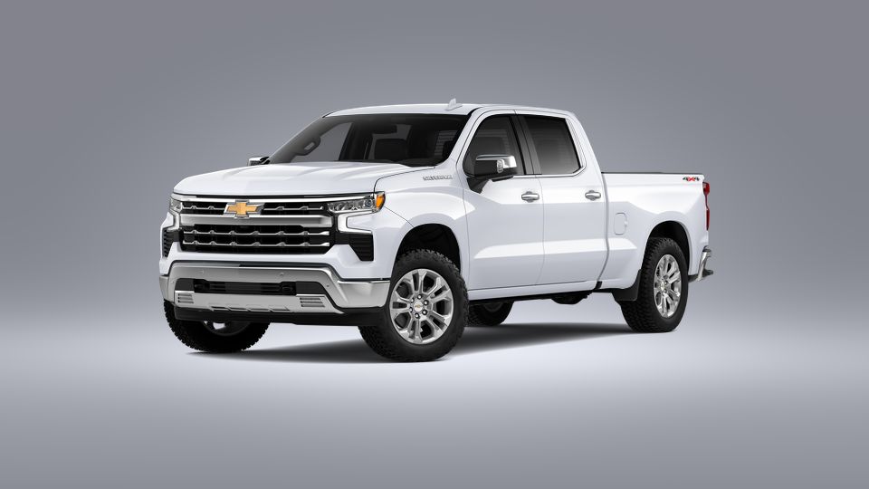2023 Chevrolet Silverado 1500 Vehicle Photo in Brunswick, GA 31525