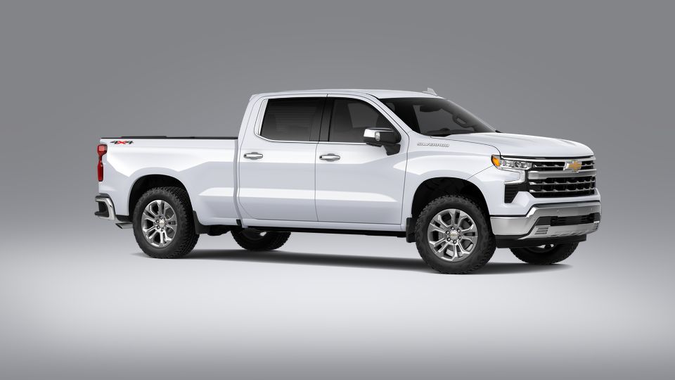 2023 Chevrolet Silverado 1500 Vehicle Photo in Statesboro, GA 30458