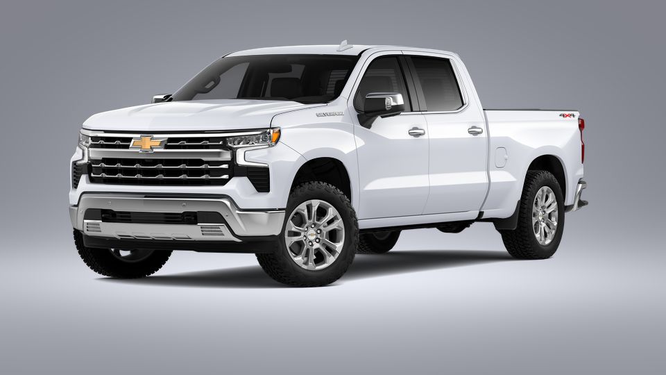 2023 Chevrolet Silverado 1500 Vehicle Photo in Statesboro, GA 30458