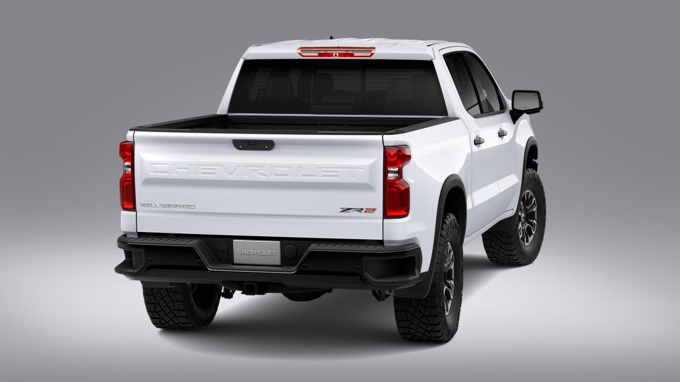 2023 Chevrolet Silverado 1500 Vehicle Photo in Decatur, TX 76234