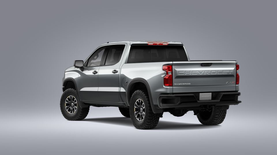 2023 Chevrolet Silverado 1500 Vehicle Photo in SELMA, TX 78154-1459