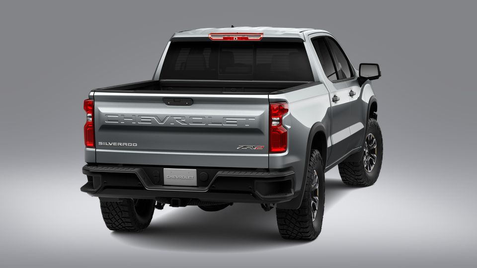 2023 Chevrolet Silverado 1500 Vehicle Photo in SELMA, TX 78154-1459