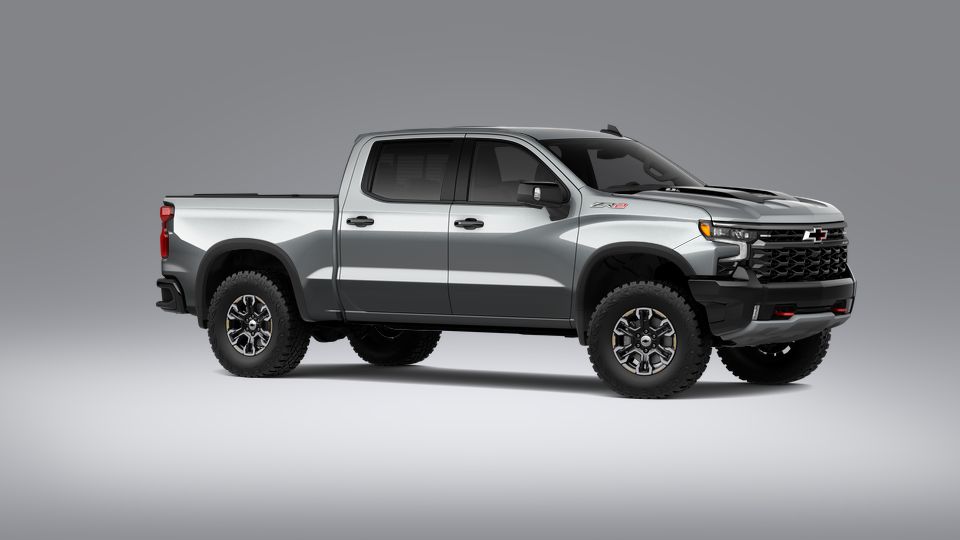 2023 Chevrolet Silverado 1500 Vehicle Photo in SELMA, TX 78154-1459