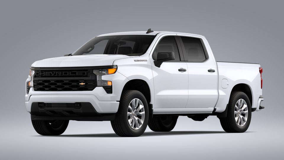 2023 Chevrolet Silverado 1500 Vehicle Photo in SAVANNAH, GA 31406-4513