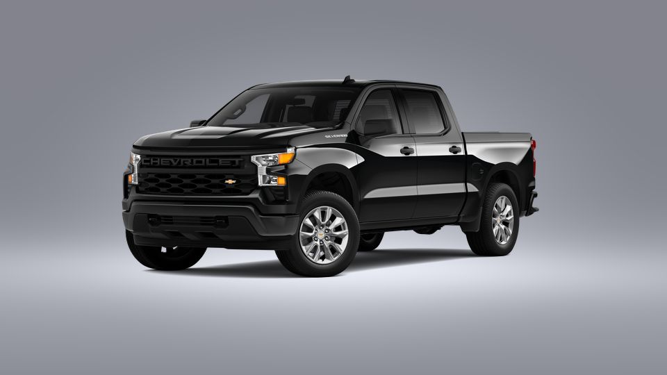 2023 Chevrolet Silverado 1500 Vehicle Photo in SAVANNAH, GA 31406-4513