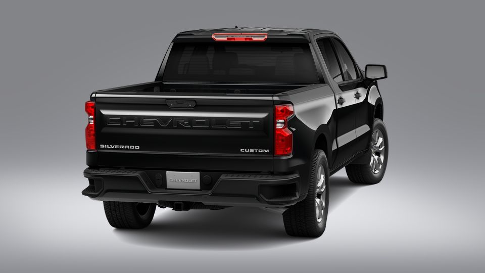 2023 Chevrolet Silverado 1500 Vehicle Photo in SAVANNAH, GA 31406-4513