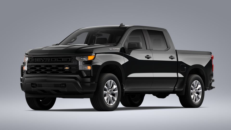 2023 Chevrolet Silverado 1500 Vehicle Photo in SAVANNAH, GA 31406-4513