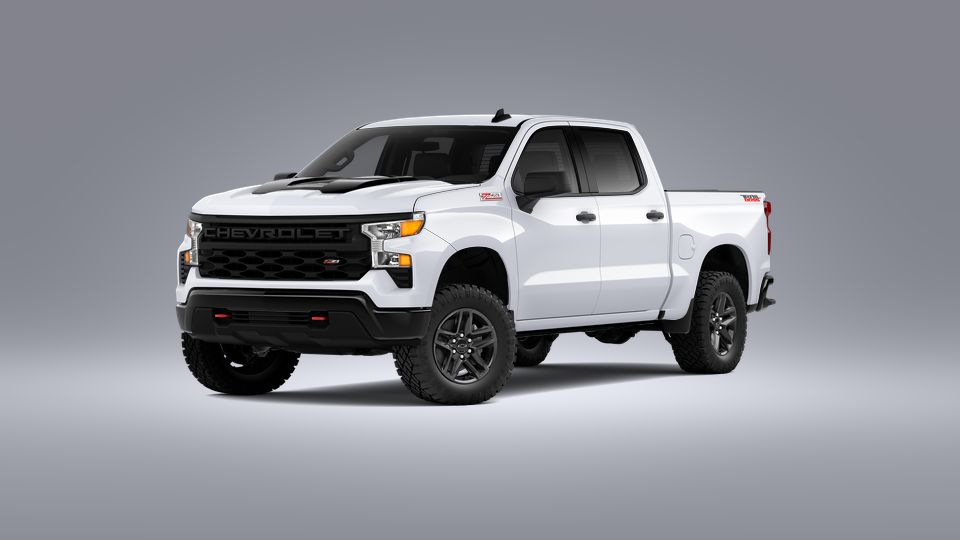 2023 Chevrolet Silverado 1500 Vehicle Photo in BRUNSWICK, GA 31525-1881