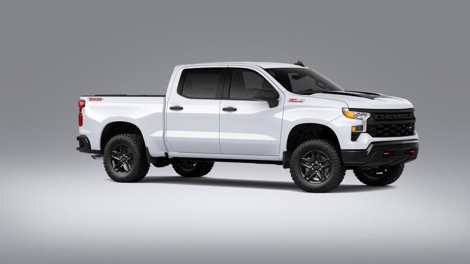 2023 Chevrolet Silverado 1500 Vehicle Photo in BRUNSWICK, GA 31525-1881