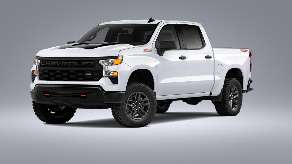 2023 Chevrolet Silverado 1500 Vehicle Photo in BRUNSWICK, GA 31525-1881