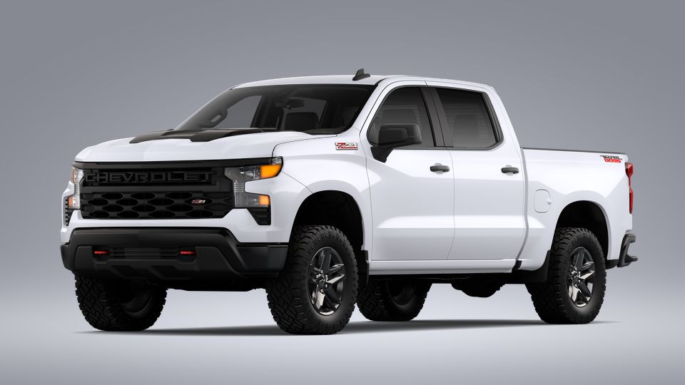 2023 Chevrolet Silverado 1500 Vehicle Photo in BRUNSWICK, GA 31525-1881