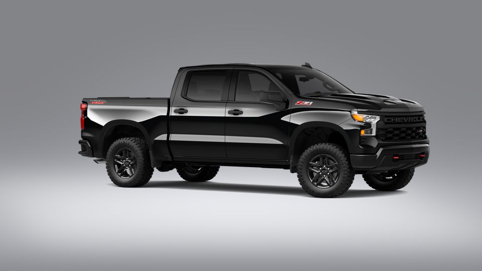 2023 Chevrolet Silverado 1500 Vehicle Photo in SAN ANTONIO, TX 78254-9999