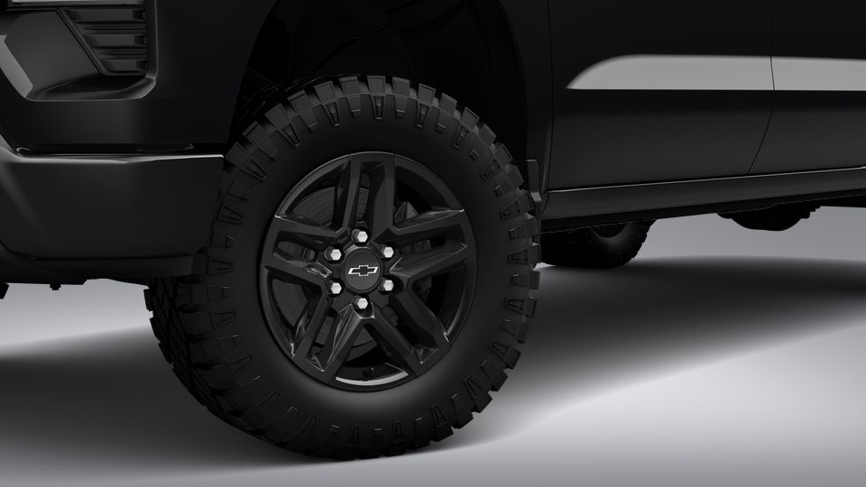 2023 Chevrolet Silverado 1500 Vehicle Photo in SAN ANTONIO, TX 78254-9999