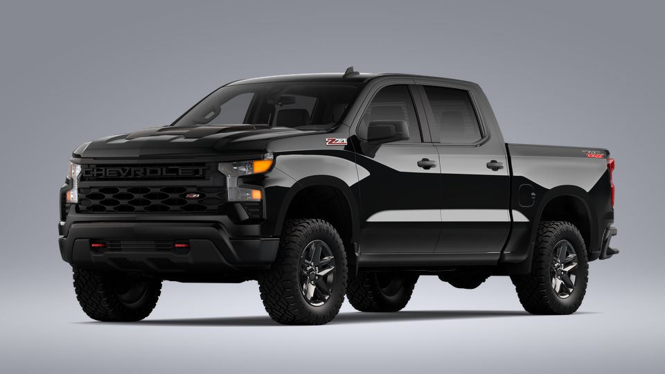 2023 Chevrolet Silverado 1500 Vehicle Photo in SAN ANTONIO, TX 78254-9999