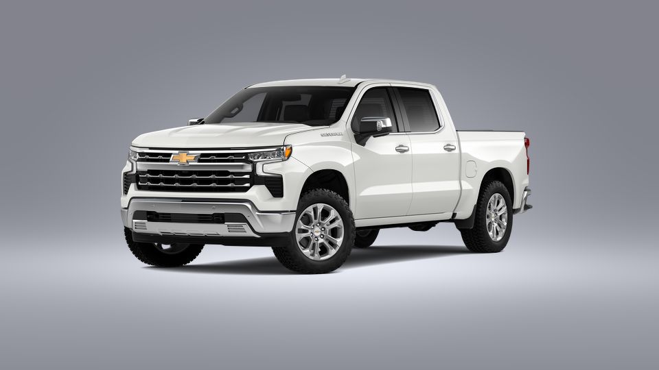 2023 Chevrolet Silverado 1500 Vehicle Photo in Seguin, TX 78155