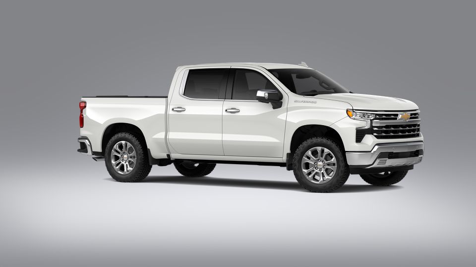 2023 Chevrolet Silverado 1500 Vehicle Photo in Seguin, TX 78155