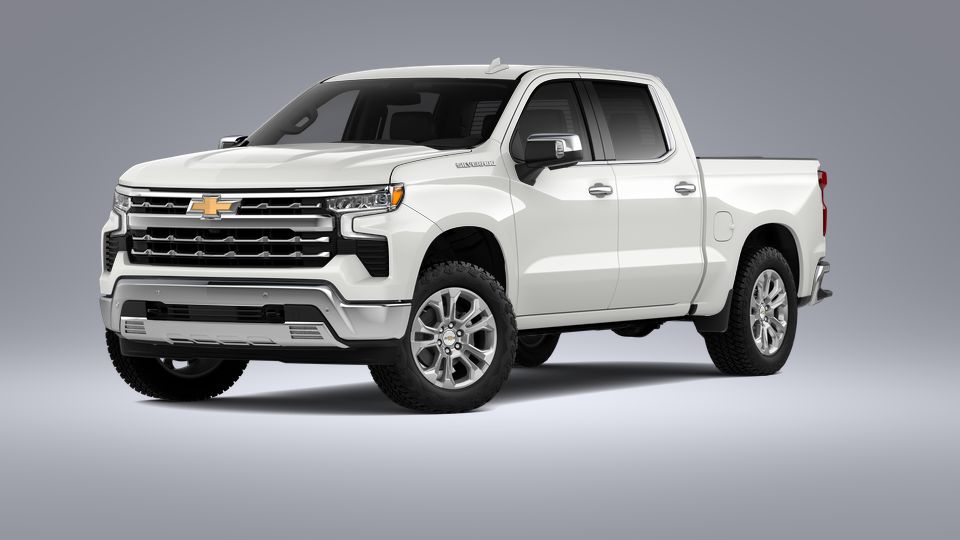2023 Chevrolet Silverado 1500 Vehicle Photo in Seguin, TX 78155