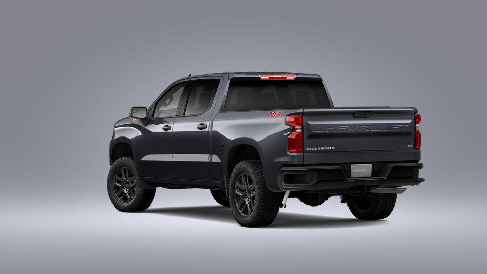 2023 Chevrolet Silverado 1500 Vehicle Photo in LEESBURG, FL 34788-4022