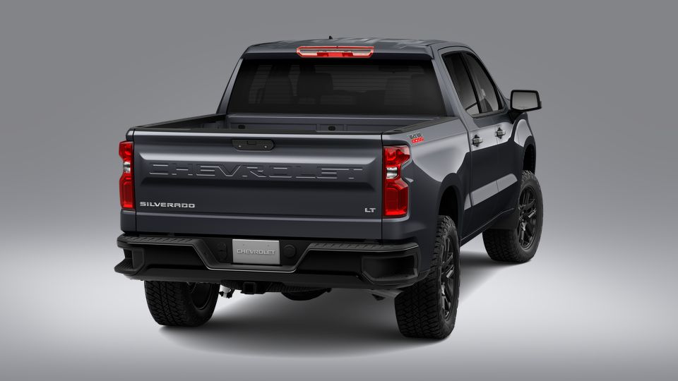2023 Chevrolet Silverado 1500 Vehicle Photo in LEESBURG, FL 34788-4022