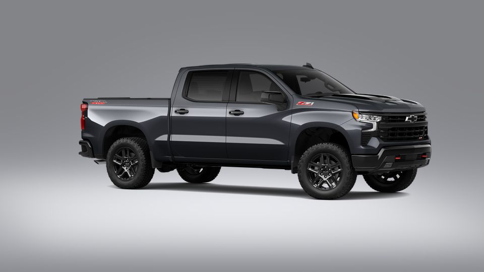 2023 Chevrolet Silverado 1500 Vehicle Photo in LEESBURG, FL 34788-4022
