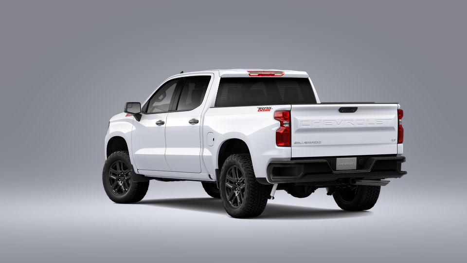 2023 Chevrolet Silverado 1500 Vehicle Photo in POOLER, GA 31322-3252